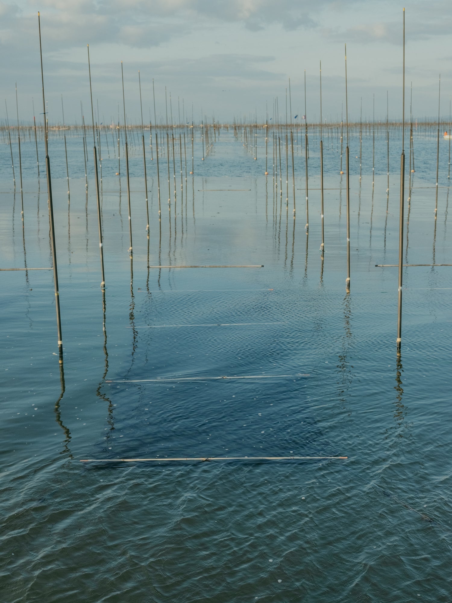 海苔の味は、海の景色をまるごと味わうこと。