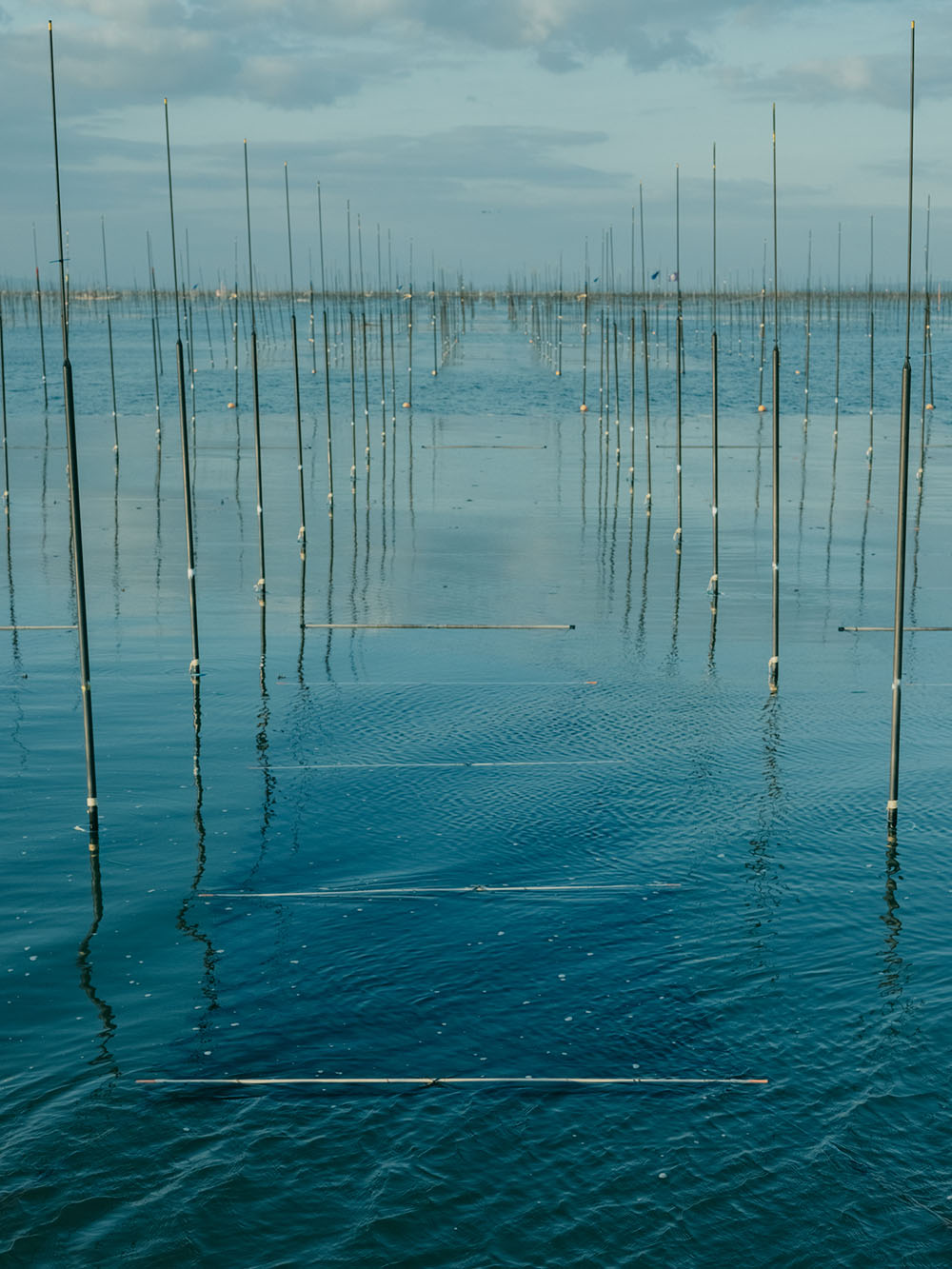 海苔の味は、海の景色をまるごと味わうこと。