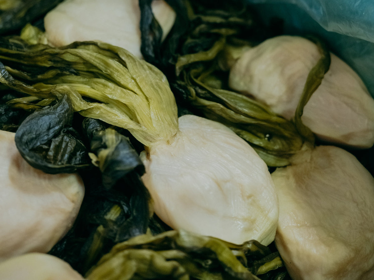 植物性乳酸菌が生きて腸に届く、漬物の『素の味』2　〜無殺菌『すぐき漬け』のおいしさ。生きた乳酸菌の存在〜