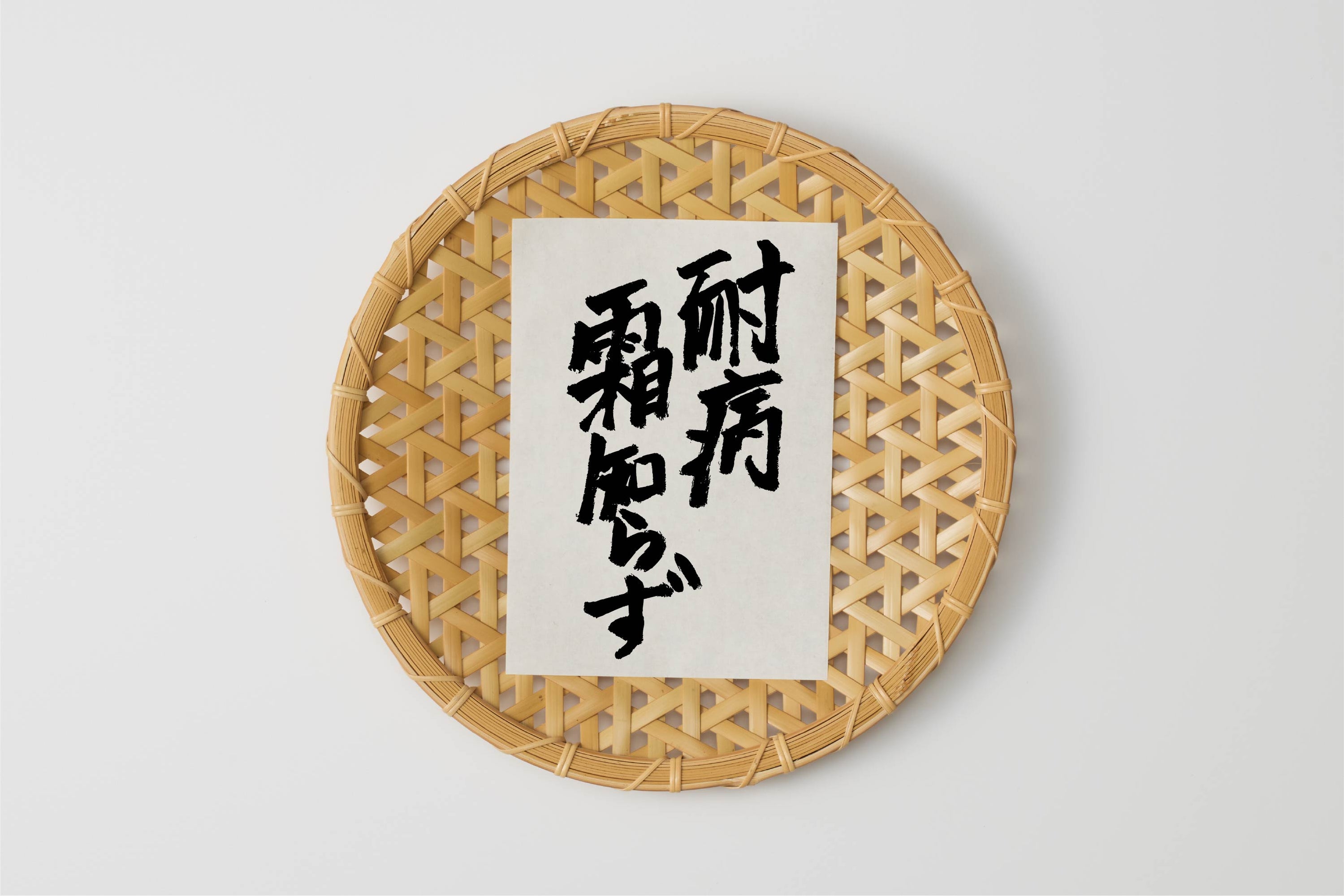 自然循環栽培｜種継ぎ9年　耐病霜知らず（きゅうり）（池松自然農園） Image 1