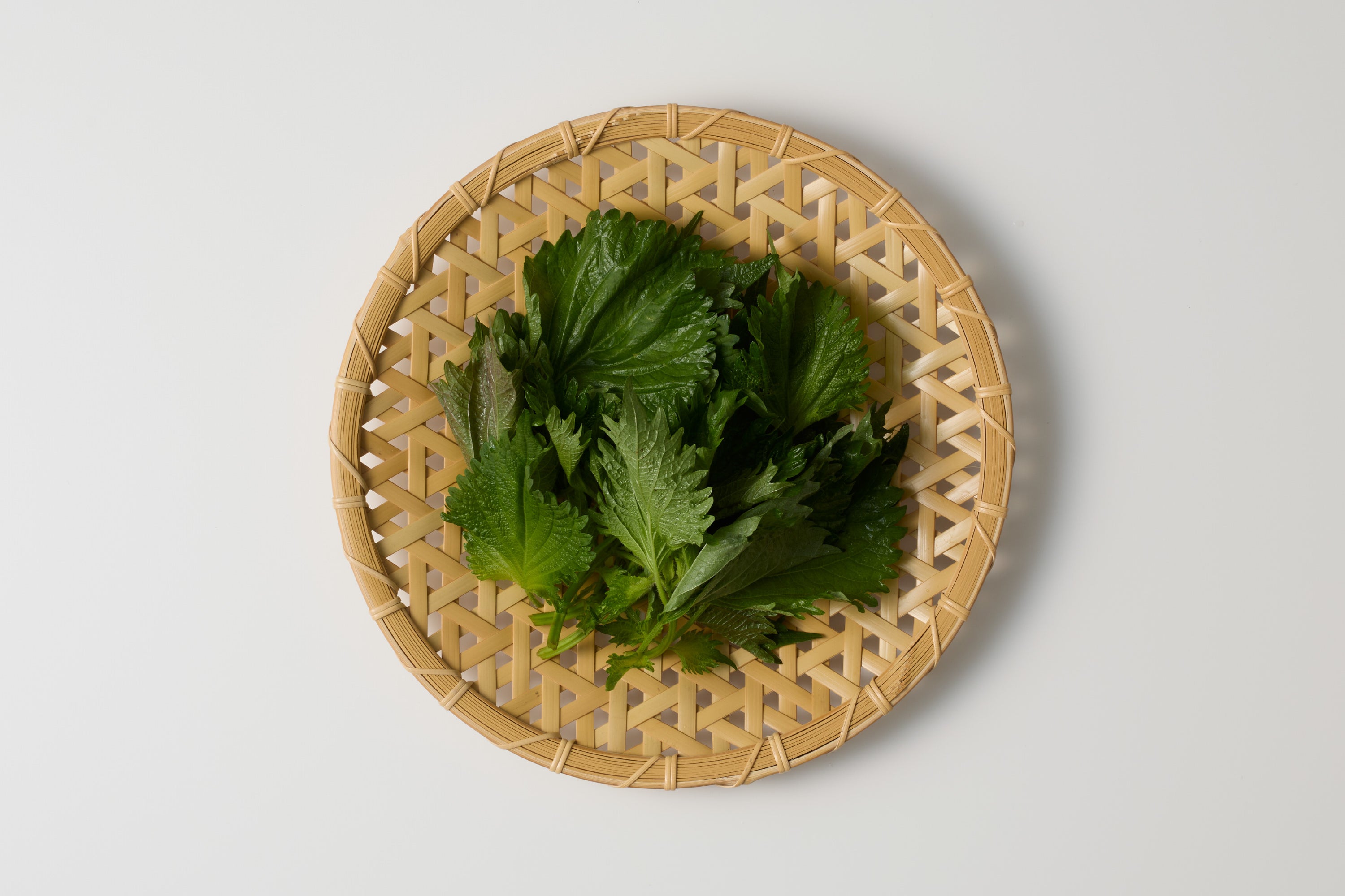 【急】自然循環栽培｜青じそ（桐島畑） Image 1