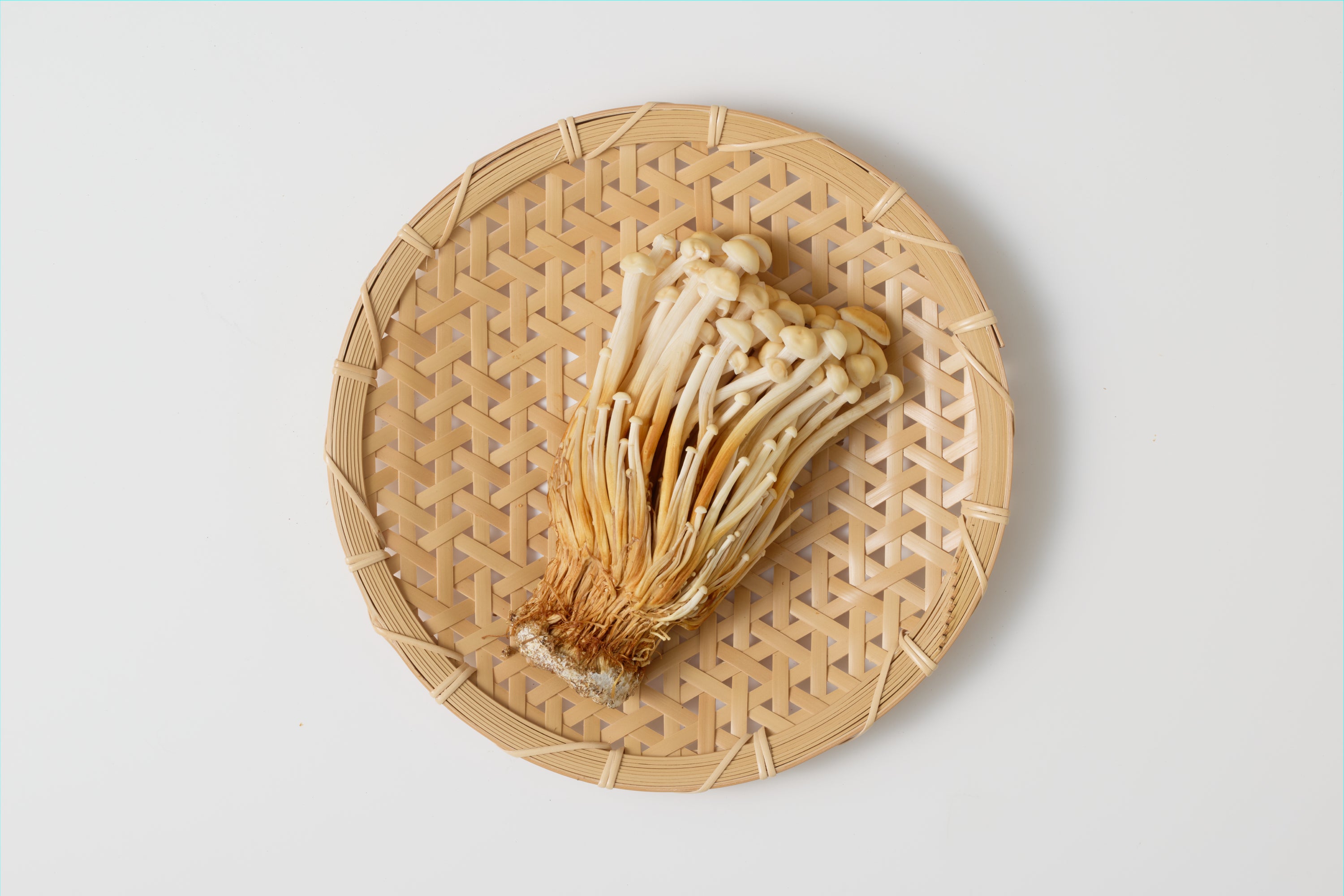 野生原種｜琥珀茸（ブラウンえのき）（信州きのこ王国） Image 2