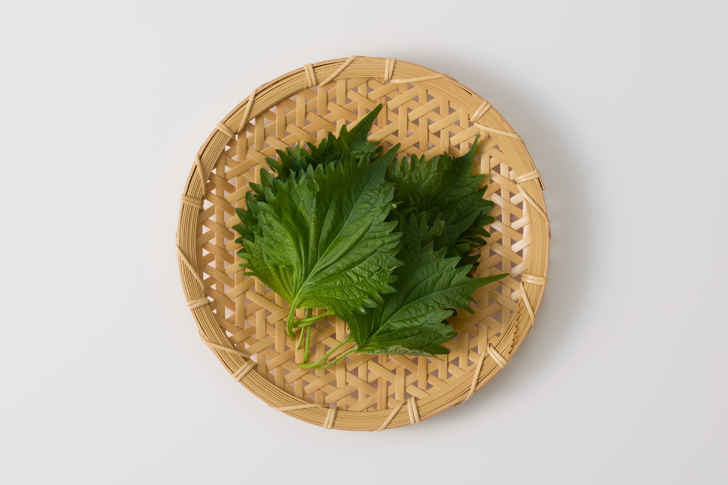 【急】自然循環栽培｜種継ぎ14年　大葉（池松自然農園） Image 1