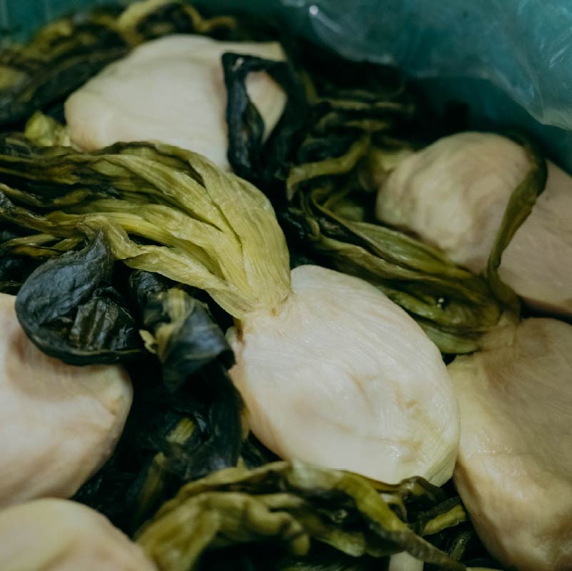 植物性乳酸菌が生きて腸に届く、漬物の『素の味』2　〜無殺菌『すぐき漬け』のおいしさ。生きた乳酸菌の存在〜