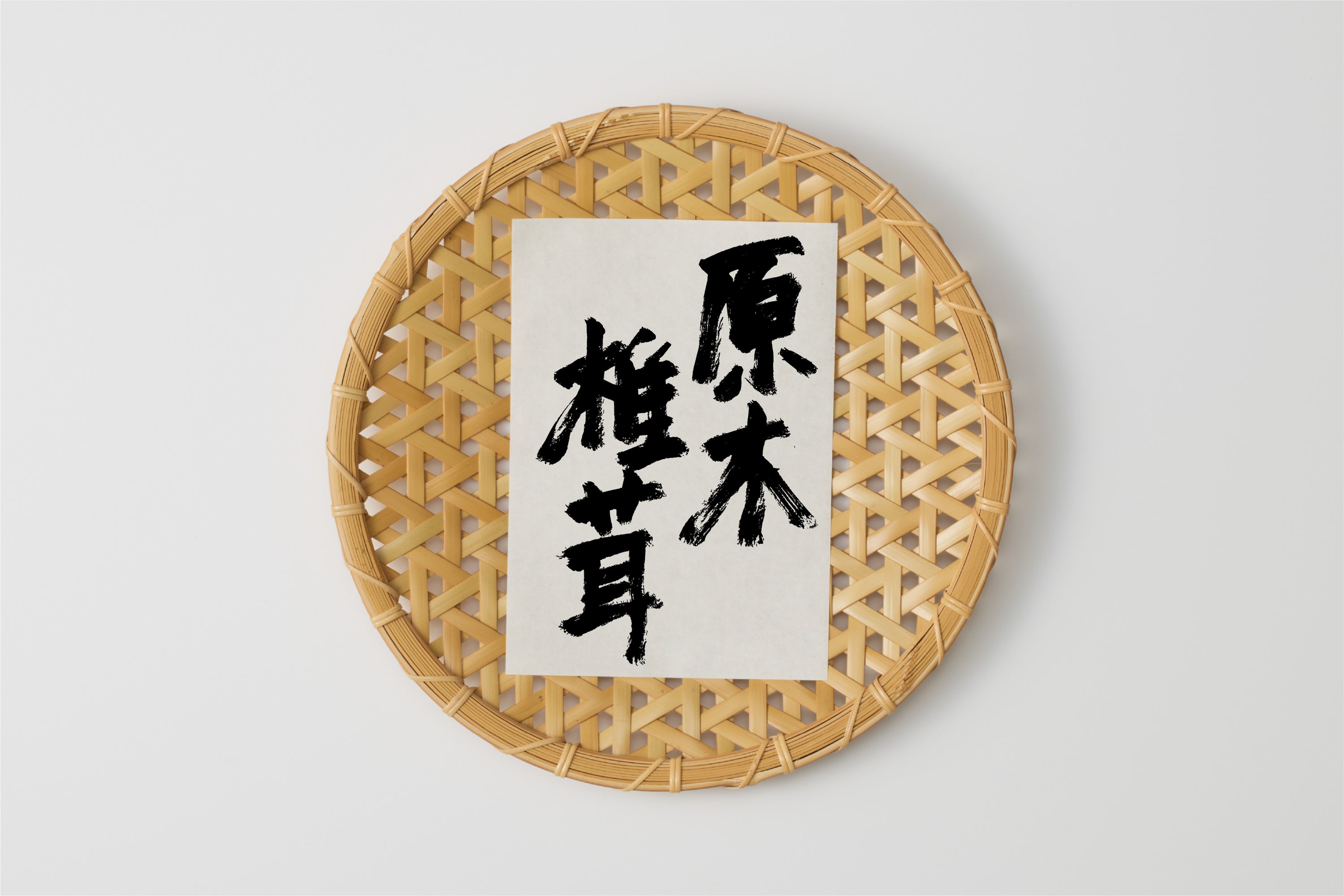 原木栽培｜農薬・肥料不使用の生しいたけ（しいたけブラザーズ） Image 1