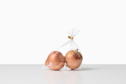 自然循環栽培｜在来種　玉ねぎ（岩崎政利）