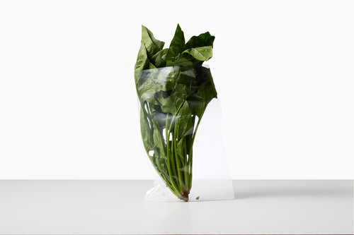 有機栽培｜ほうれん草（畑山農場）