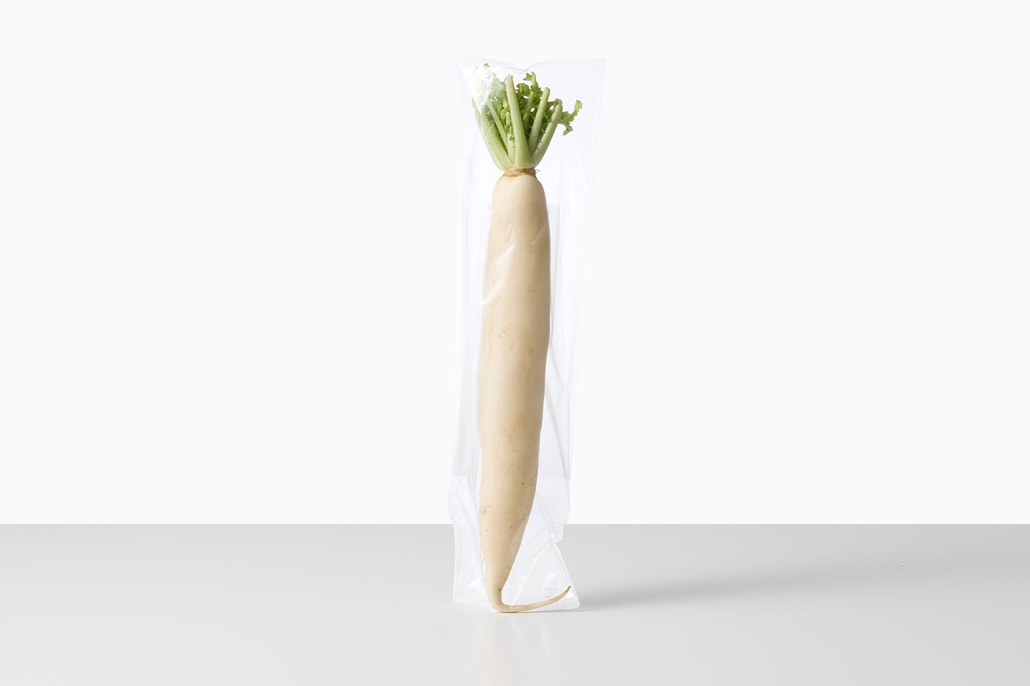 自然循環栽培｜在来種　小田部大根（池松自然農園） Image 2