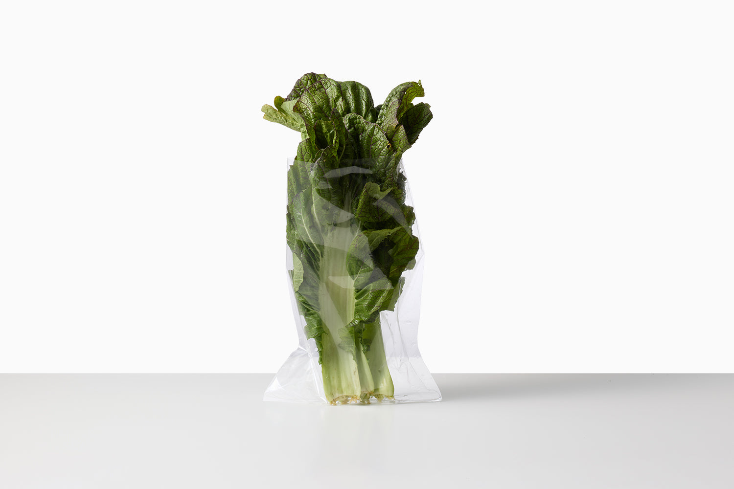 自然循環栽培｜在来種　三池高菜（池松自然農園） Image 2