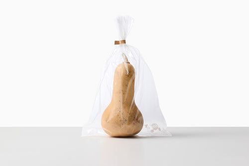 自然循環栽培｜バターナッツかぼちゃ（池松自然農園）