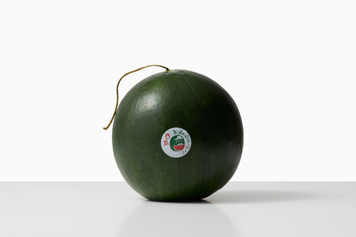自然循環栽培｜種継ぎ4年　母ちゃんスイカ（野菜と旅する）　