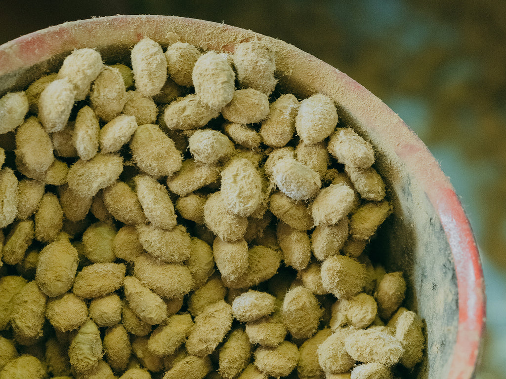 野生麹菌で醸造する日本で2社しかない米味噌の『素の味』