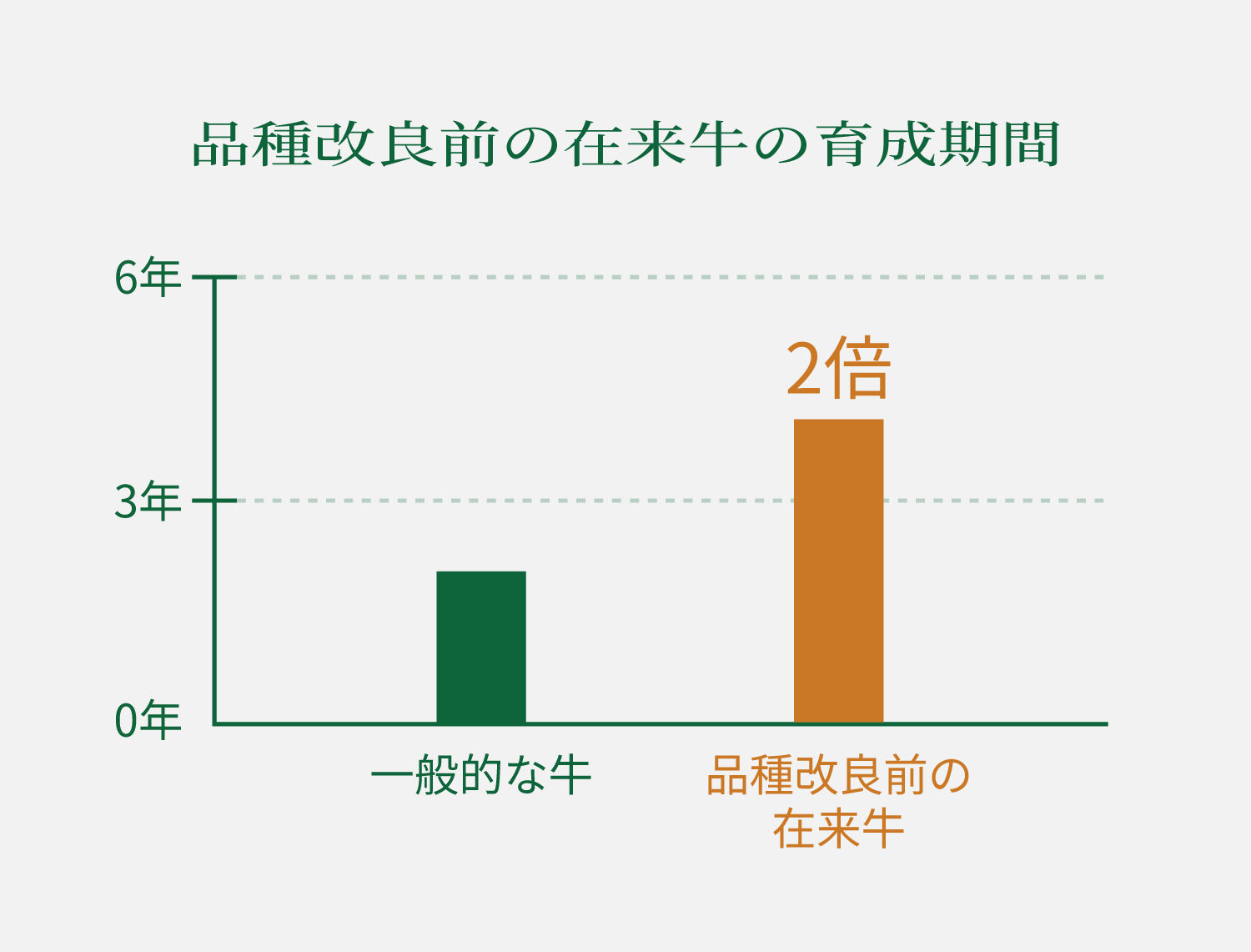品種改良されていない純血の牛グラフ