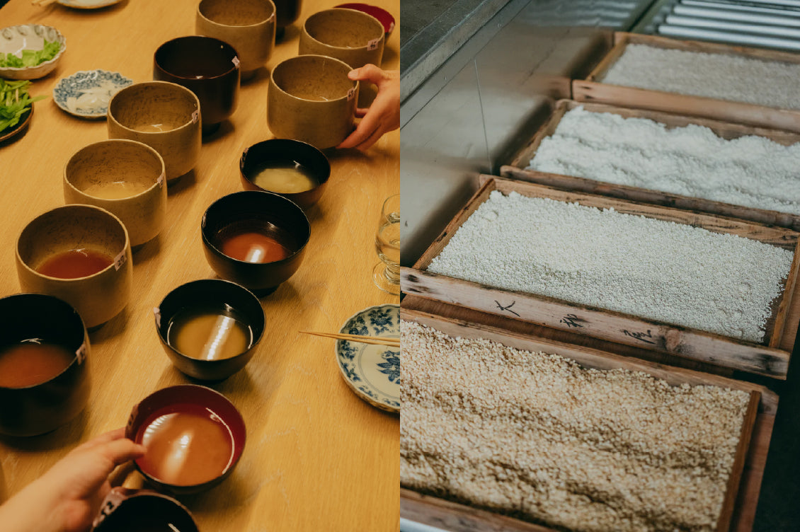 Curation policy イメージ