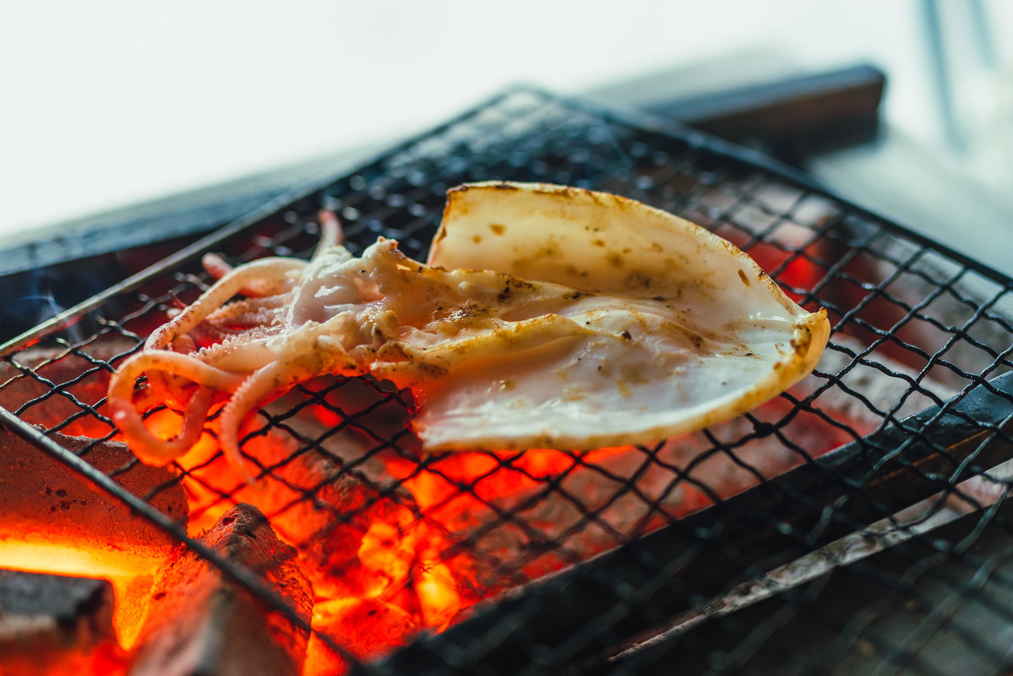 イカの一夜干し（渡邉水産） Image 3