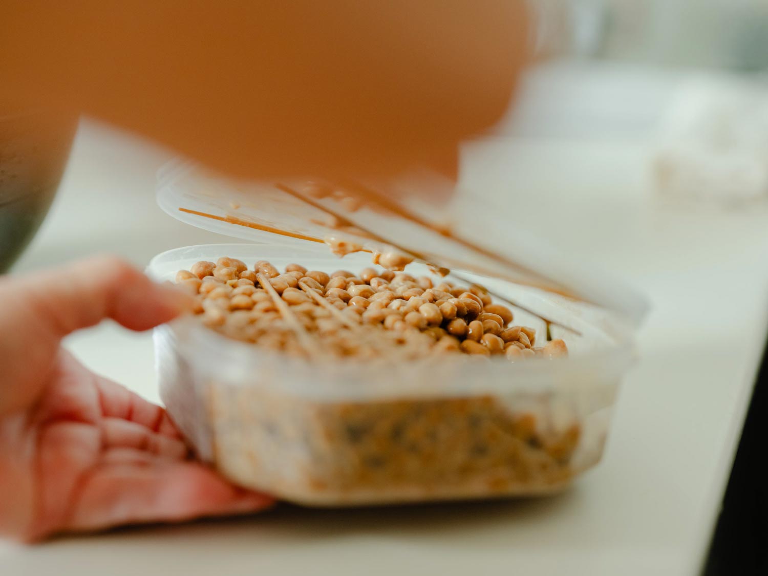 天然の稲藁納豆菌と向き合ってみた3ヶ月。