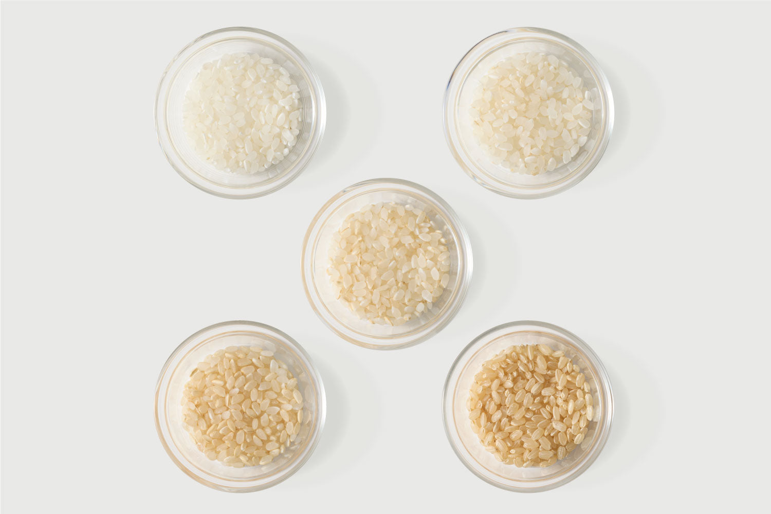 自然栽培｜種継ぎ10年　亀の尾（長谷川農園） Image 4