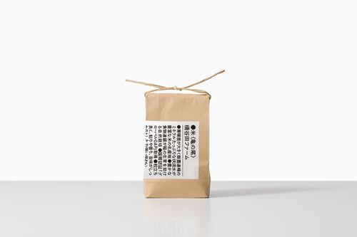 自然栽培｜種継ぎ1年　亀の尾（橋谷田ファーム）