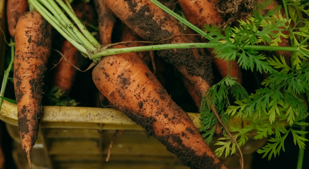 野菜の『素の味』
