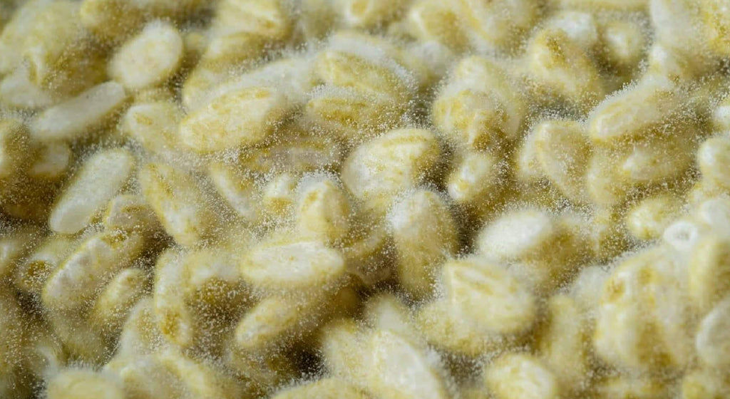 味噌の『素の味』